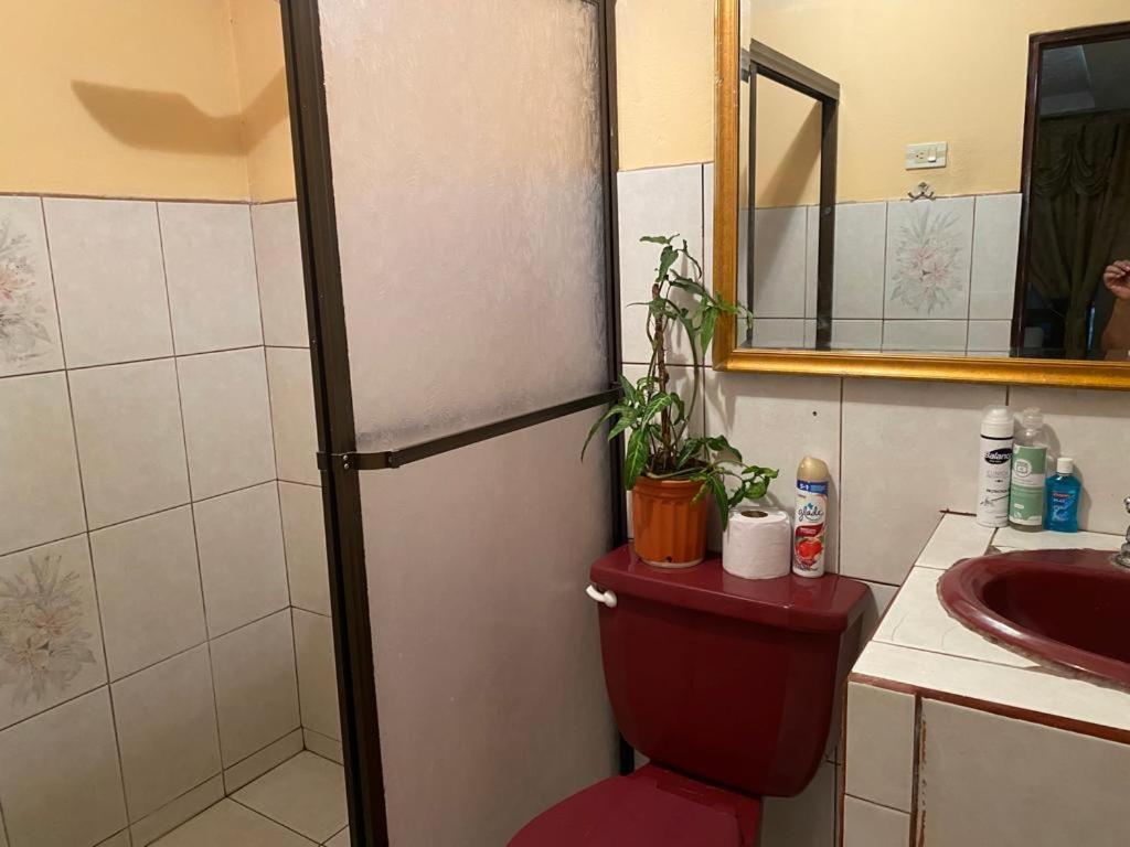 Apartmán Casa Lupita Alajuela Exteriér fotografie